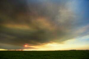 Fumo nube fuoco nel la pampa, argentina foto