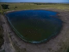 pampa laguna, aereo Visualizza foto