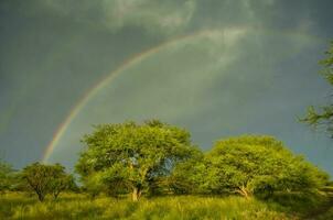 foresta paesaggio, con arcobaleno, pampa, argentina foto