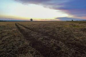 tempestoso paesaggio a tramonto, patagonia, argentina foto