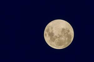 sangue Luna, eclisse visto da, la pampa, gennaio 21, 2019 argentina foto