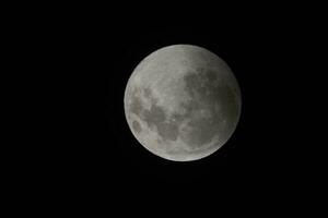 sangue Luna, eclisse visto da, la pampa, gennaio 21, 2019 argentina foto