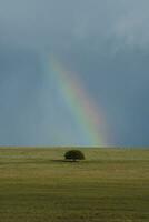 minaccioso tempesta nuvole, pampa, patagonia, argentina foto