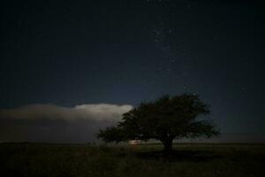 pampa paesaggio fotografato a notte con un' stellato cielo, la pampa Provincia, patagonia , argentina. foto