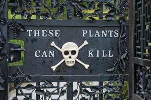 Ingresso del giardino di Alnwick nel giardino del veleno al castello di Alnwick, Regno Unito foto
