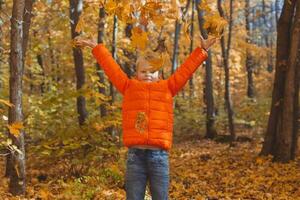 ragazzo lanci su caduto le foglie su un' sfondo di autunno paesaggio. infanzia, autunno e natura concetto. foto