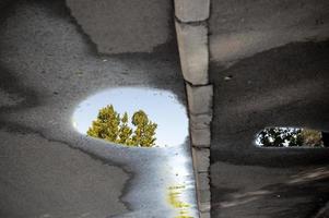 vista invertita di una strada asfaltata bagnata con un riflesso di un albero in una pozzanghera