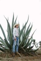 messicano cowboy, Agave impianti, natura bellezza, occhiali da sole, bambino che fa i primi passi, travolgente paesaggio foto