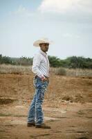 cowboy sotto il vasto cielo, circondato di cactus, Lavorando su un' azienda agricola foto