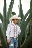 messicano cowboy, Agave impianti, natura bellezza, occhiali da sole, bambino che fa i primi passi, travolgente paesaggio foto