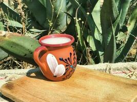 pulque, il messicano bere, servito nel un terracotta tazza in mezzo della natura vivace tavolozza foto