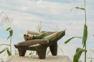 nel Messico, il metate è un' simbolo di tradizione, collegamento persone con natura e cibo foto