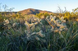 lihue calel nazionale parco sierra paesaggio, la pampa, argentina foto