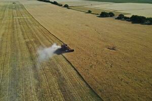 Grano raccogliere nel il argentino campagna, la pampa Provincia, patagonia, argentina. foto