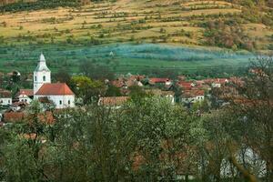 rimetea è un' piccolo villaggio collocato nel transilvania, Romania. esso è situato nel il apuseni montagne e è conosciuto per suo pittoresco ambientazione e bene conservato ungherese architettonico stile. foto