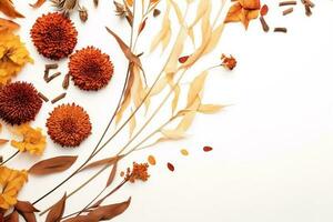 autunno le foglie sfondo. autunno composizione secco fiori e le foglie su bianca. ai generato foto