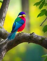 colorato uccello si siede su un' ramo nel il foresta ai generato foto