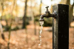 sprecare il acqua foto