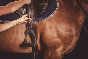 regolazione cavallo staffe. equestre tema. foto