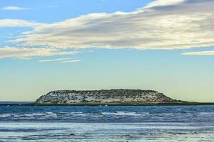 isla de los pajaros ,natura Riserva, penisola Valdes, argentina foto