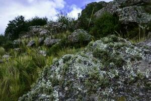 quebrada del condorito nazionale parco, cordova Provincia, argentina foto