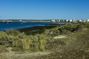 puerto madryn città, Ingresso portale per il penisola valdes naturale Riserva, mondo eredità luogo, patagonia, argentina. foto