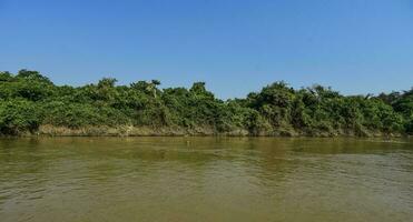 fiume paesaggio e giungla, pantanal, brasile foto