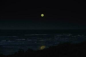 mare notte paesaggio e Luna piena , penisola Valdes, mondo eredità luogo, patagonia argentina foto