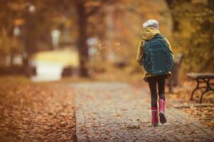 camminare per scuola nel il autunno parco foto