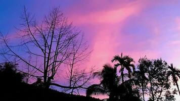 creare bellezza paesaggio, con viola-rosa, blu cielo guardare spoglio albero. natura atmosfera sera è luminosa e affascinante nel campagna, Tailandia. foto