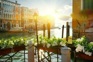 fiori vicino mille dollari canale, Venezia foto