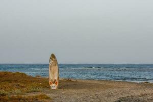 windsurf tavola incollato nel il sabbioso spiaggia a il rosso mare foto