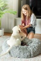poco ragazza giocando con un' d'oro cane da riporto cucciolo a casa. foto