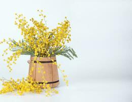 mimosa fiori su un' di legno superficie., mimosa fiori nel un' di legno mini benna. foto