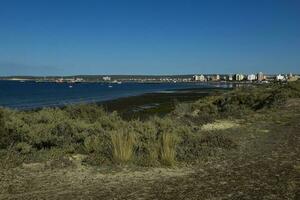 Basso marea costiero paesaggio nel penisola Valdes, mondo eredità luogo, patagonia argentina foto