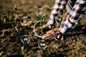 donna mani giardinaggio lattuga nel azienda agricola con crescita processi e chimico formula su verde sfondo. con vr icona foto