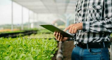 tecnologia agricola contadina donna che tiene tablet o tablet tecnologia per la ricerca sui dati di analisi dei problemi agricoli e icona visiva.agricoltura intelligente foto