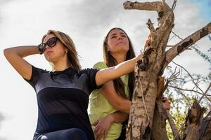 coppia di femmina atleti avendo divertimento mentre arrampicata su tagliare logs all'aperto foto