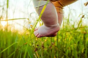 bambini piccoli piedi nel il erba con naturale luce del sole. infantile gambe su naturale sfondo. del bambino corpo parti. carino poco dita foto