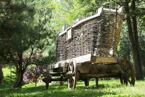 un vecchio di legno carrello con grande ruote nel il azienda agricola con foresta sfondo foto