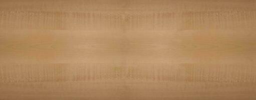 colore marrone legno parete materiale bava superficie struttura motivo di sfondo legno astratto, vista dall'alto scena foto