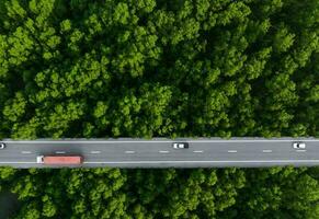 aereo superiore Visualizza di auto e camion guida su autostrada strada nel verde foresta. sostenibile trasporto. fuco Visualizza di idrogeno energia camion e elettrico veicolo guida su asfalto strada attraverso verde foresta. foto