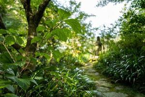 un giardino a kamakura in giappone foto