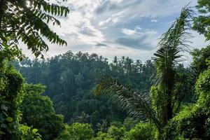 la passeggiata sulla cresta del campuhan a ubud a bali foto