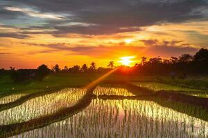 bellissimo mattina Visualizza Indonesia panorama paesaggio risaia i campi con bellezza colore e cielo naturale leggero foto