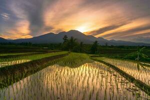 bellissimo mattina Visualizza Indonesia panorama paesaggio risaia i campi con bellezza colore e cielo naturale leggero foto