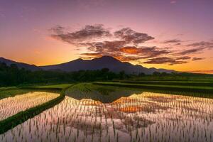 bellissimo mattina Visualizza Indonesia panorama paesaggio risaia i campi con bellezza colore e cielo naturale leggero foto