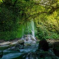 bellissimo mattina Visualizza Indonesia. panorama paesaggio risaia i campi con bellezza colore e cielo naturale leggero foto