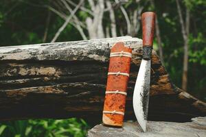 e-nep coltello tailandese nativo coltelli per sopravvivenza nel il foresta su un vecchio legname di legno foto