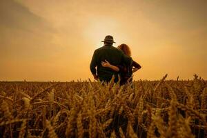 uomo e donna siamo in piedi nel loro agricolo campo nel tramonto. essi siamo coltivando Grano e godendo bene agricolo stagione. foto